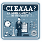 ¿Qué es un funcionario interino y cómo se regula?